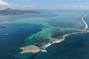 5 Islas Todo Incluido Lancha Rápida c/Snorkeling Tortuga Marina