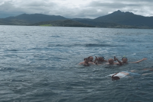 5 isole con motoscafo all-inclusive con tartaruga marina e snorkeling