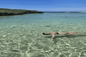 5 isole con motoscafo all-inclusive con tartaruga marina e snorkeling