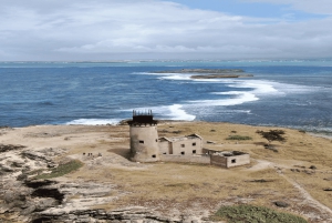 5 isole con motoscafo all-inclusive con tartaruga marina e snorkeling