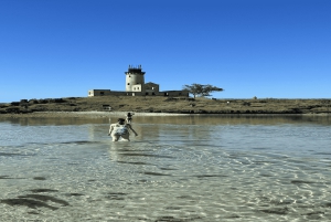 5 isole con motoscafo all-inclusive con tartaruga marina e snorkeling