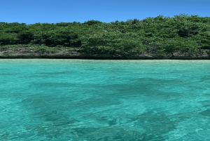 5 isole con motoscafo all-inclusive con tartaruga marina e snorkeling