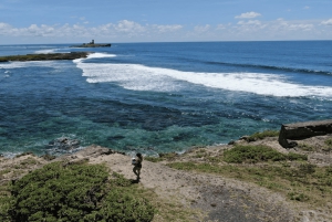 5 isole con motoscafo all-inclusive con tartaruga marina e snorkeling