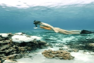 5 saarta Yksityinen pikavene snorklaamalla + lounas ja juomat