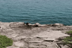 5 Inseln Schnellboot mit Schnorcheln Seeschildkröte + Mittagessen & Getränke