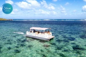 Tour delle 5 isole: Crociera privata in barca con pontone di New OCÉANE
