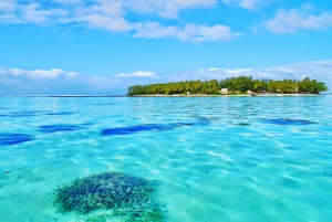 5 Islands Trip inc. Ile aux Cerfs, Lunch, Drinks & Transport