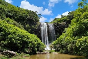 Mauritius-7 Wasserfälle kurze Schleife