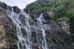 Mauritius-7 Wasserfälle kurze Schleife