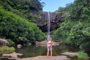 Mauritius-7 Wasserfälle kurze Schleife