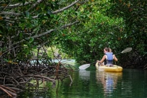 Adventurous Mauritius: private trip with hotel & activities