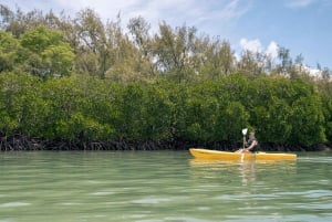 Adventurous Mauritius: private trip with hotel & activities