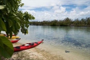 Adventurous Mauritius: private trip with hotel & activities