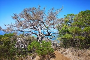 Adventurous Mauritius: private trip with hotel & activities