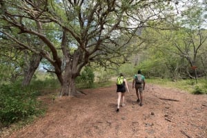 Adventurous Mauritius: private trip with hotel & activities