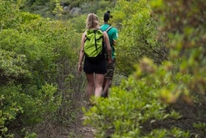 Adventurous Mauritius: private trip with hotel & activities