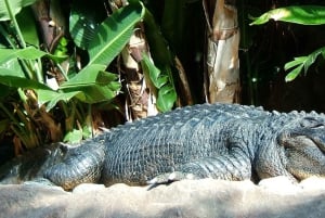 Parchi animali e naturali, tour privato con pranzo e tutti i biglietti