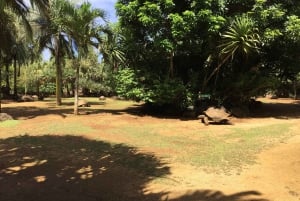 Parchi animali e naturali, tour privato con pranzo e tutti i biglietti