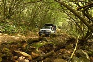 Parchi animali e naturali, tour privato con pranzo e tutti i biglietti