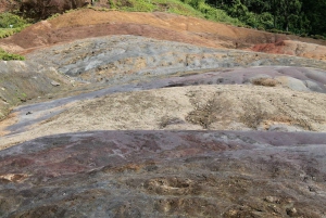 Parchi animali e naturali, tour privato con pranzo e tutti i biglietti