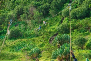 Parchi animali e naturali, tour privato con pranzo e tutti i biglietti