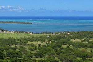 Parchi animali e naturali, tour privato con pranzo e tutti i biglietti