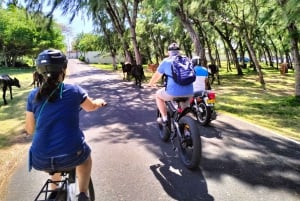 Authentic North East Coast E-bike Guided Tour