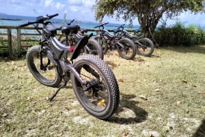 Authentic North East Coast E-bike Guided Tour