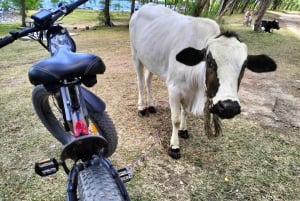 Authentic North East Coast E-bike Guided Tour