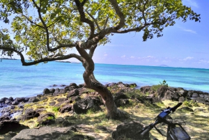 Authentic North East Coast E-bike Guided Tour