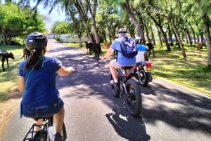 Authentic North East Coast E-bike Guided Tour