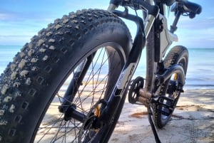 Authentic North East Coast E-bike Guided Tour