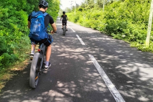 Visite guidée authentique de la côte nord-est en vélo électrique