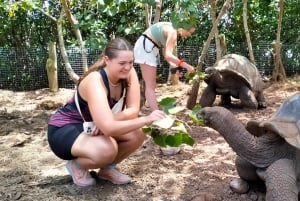 Visite guidée authentique de la côte nord-est en vélo électrique