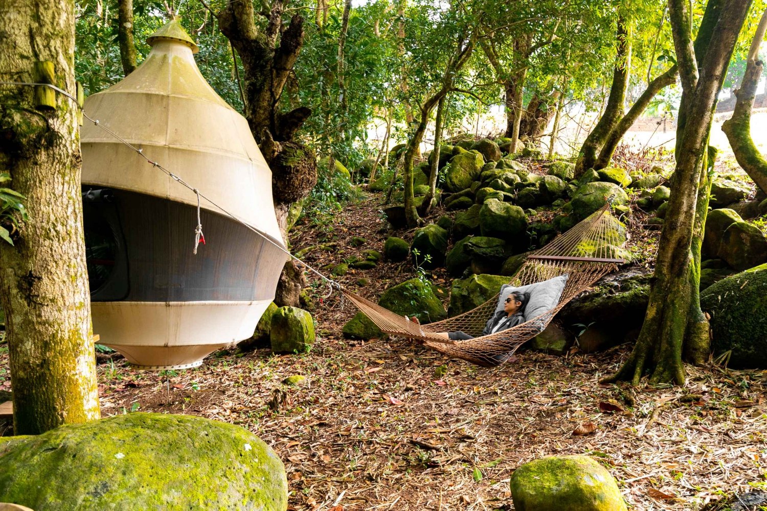 Bel Ombre naturreservat: Picnics Pod Experience