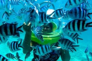 Activités à Belle Mare : promenade sous-marine, parachute ascensionnel, bouée tractée