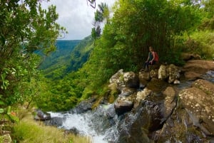 Black River Gorges National Park: Eco Adventure Day Tour