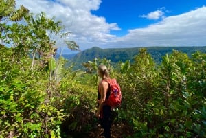 Parc national des gorges de la rivière Noire : Excursion d'une journée d'aventure écologique