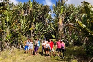 Nationalparken Black River Gorges: Eco Adventure Day Tour