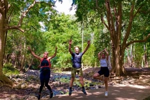 Nationalparken Black River Gorges: Eco Adventure Day Tour