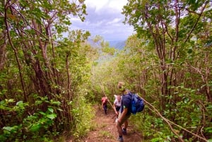 Nationalparken Black River Gorges: Eco Adventure Day Tour