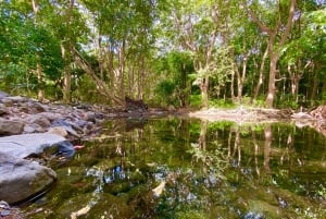 Nationalparken Black River Gorges: Eco Adventure Day Tour