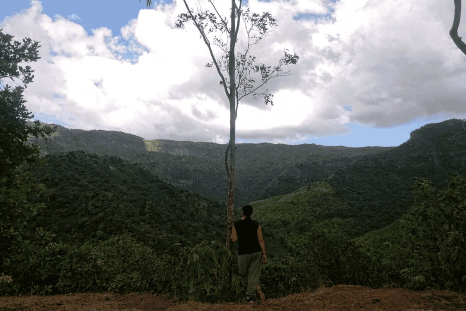 Black River Gorges Trek & River Immersion Adventure