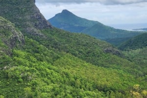 Black River: Guided Hike in the Black River Gorges Valley