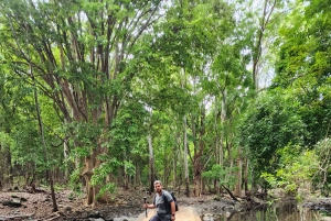 Black River: Guidet vandretur i Black River Gorges-dalen