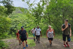 Black River: Guidet vandretur i Black River Gorges-dalen