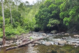 Black River: Guidet vandretur i Black River Gorges-dalen