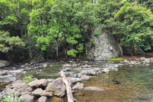 Black River: Guidet vandretur i Black River Gorges-dalen