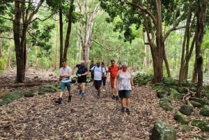 Black River: Guidet vandretur i Black River Gorges-dalen