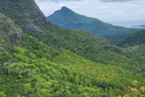 Black River: Guidet vandretur i Black River Gorges-dalen